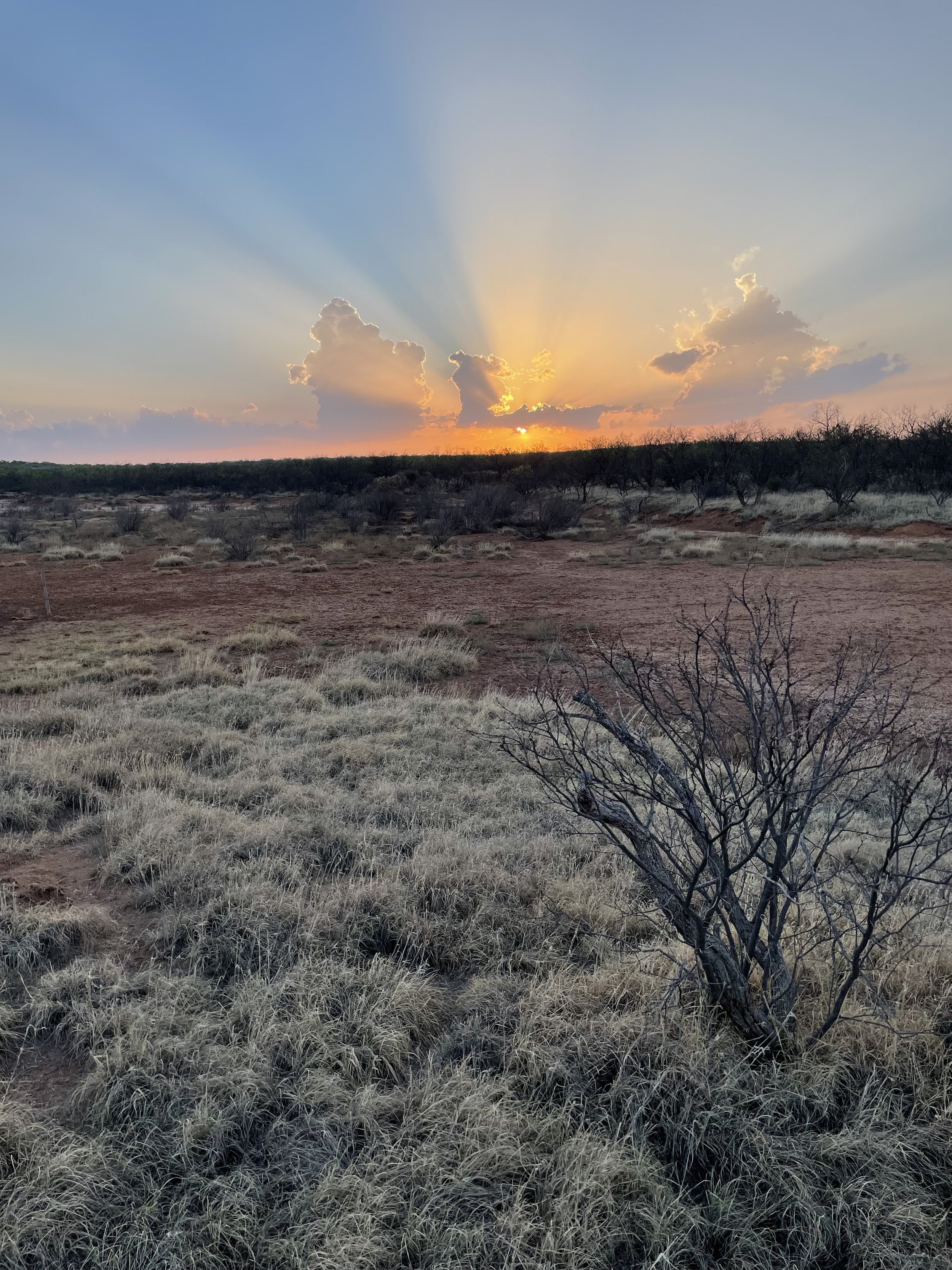 Sunset in Swenson